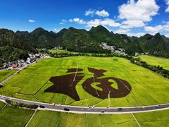 -万峰林风景区