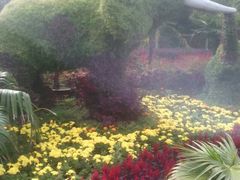 -辛玛王国游乐园