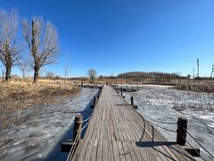 -马家湾湿地公园