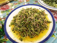 -闯关东东北农家菜(崂山石老人店)