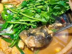 -九道菜有鸡鱼头(石鼓路店)
