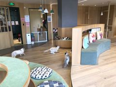 -CAT’S MEWSTAR CAFE·喵星球猫屋(晴湾咖啡店)