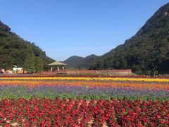 -广州市石门国家森林公园