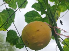 -贵阳蓬莱仙界