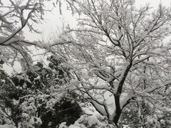 -天目湖涵田半山温泉