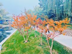 -元大都城垣遗址公园