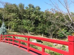 -羊山湖公园