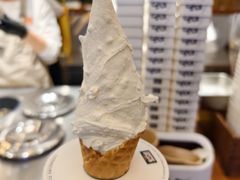-野人先生Gelato(上海长宁龙之梦店)