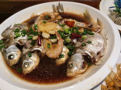 -四季春