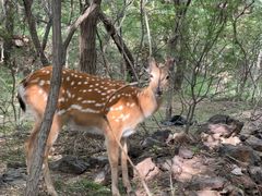 -海南热带野生动植物园