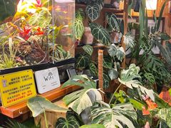 -Rabbit Cafe私房西餐甜点咖啡(栖霞路店)