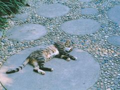 -上海植物园·停车场