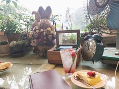 芒果千层-懒鱼时光馆(沙坪坝店)