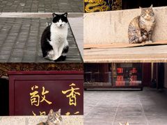 -高旻寺