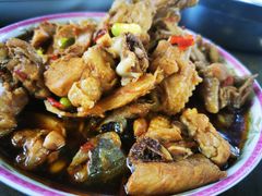 -同銮特种养殖场·龙虾垂钓