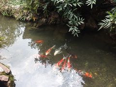 -中国茶叶博物馆(双峰馆区)