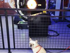 -嗨翻Hi-Fun竞技主题乐园·蹦床亲子生日轰趴(国光1937店)