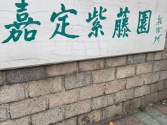 -嘉定紫藤园