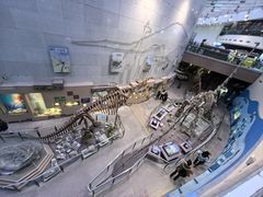 -陕西自然博物馆