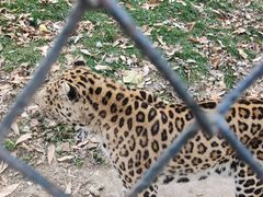 -大连森林动物园