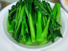 -新陶陶酒家