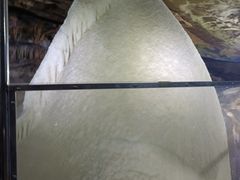 -雪玉洞景区