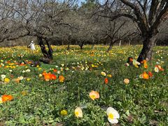 -名花谷生态庄园
