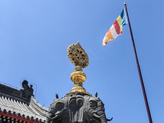-天津大悲禅院