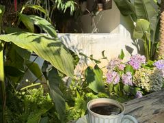 -自由生长植物工作室(深港花卉中心店)