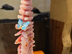 -土著渔匠·养生蝴蝶鱼(香樟路店)