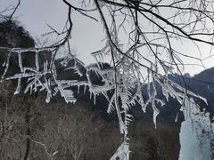 -青峰峡国家森林公园