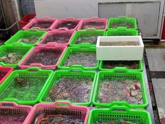 -众味海鲜大排档·活海鲜·潮汕味(南澳店)