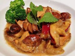 干烧牛肝菌-匠心牛公馆·潮汕牛肉海鲜火锅(索菲特店)