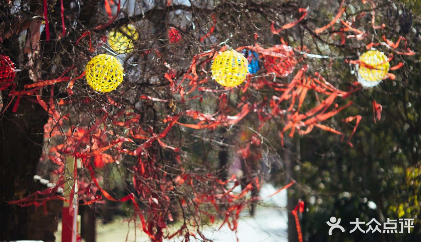 西安新晋赏花地——长安唐村