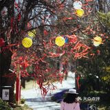 西安新晋赏花地——长安唐村