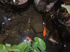 -邈墨茶馆(大兜路1号店)