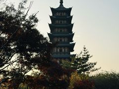 -上海方塔园
