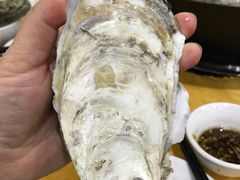 -蚝专家(北滘店)