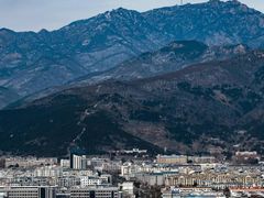 -万达广场(泰安泰山店)