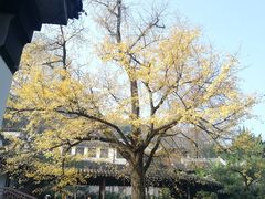 -惠山古镇·寄畅园