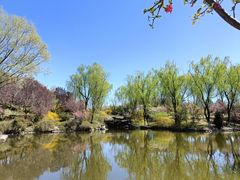 -石家庄市植物园