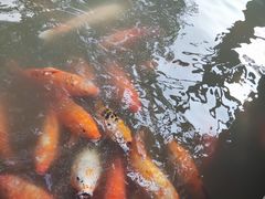 -上海方塔园