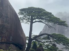 -黄山白云宾馆