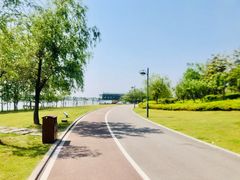 -滨江生态公园