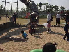 -上海长兴岛郊野公园