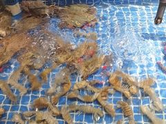 -小时候焗海鲜(鄞州万达店)