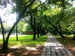 android_upload_pic-中山大学学者灵芝(园南路店)