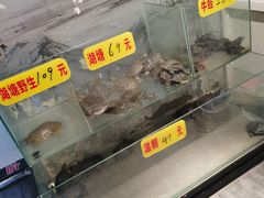 -鳖皇甲鱼餐厅(平阳路店)