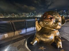 -星光大道