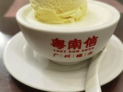 南信双皮奶伴雪糕球-南信牛奶甜品专家